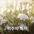 [이주의 특가]콜롬비아 라스 피나스 카투라 워시드