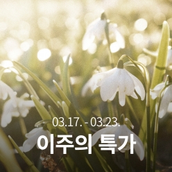 [이주의 특가]과테말라 엘 소코로 마라카투라 워시드