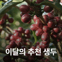 [4월 추천 생두]콜롬비아 나리뇨 산 로렌조