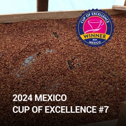 [신규입고][2024 MEXICO COE #7]로스 추초스 사치모르 허니