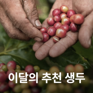 [5월 추천 생두]브라질 세하도 14/16 NY2 FC