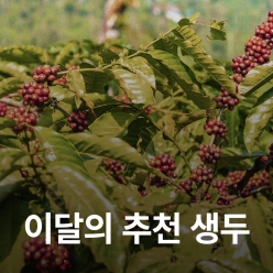 [6월 추천 생두]브라질 산타루시아 펄프드 내추럴