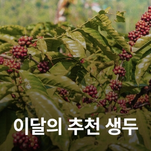 [6월 추천 생두]브라질 산타루시아 펄프드 내추럴