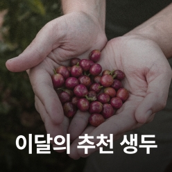 [7월 추천 생두]온두라스 산타로사  SHG