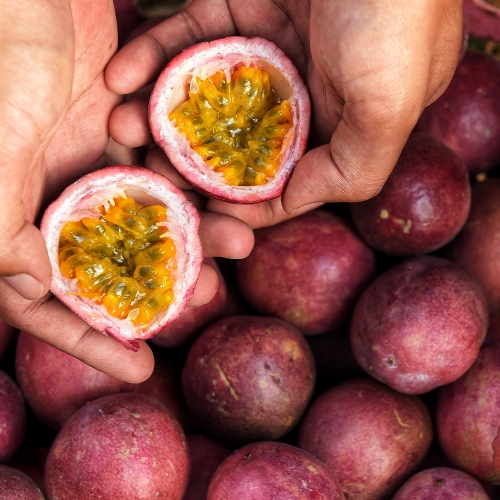 콜롬비아 캄포 에르모소 카투라 허니 패션 후르츠 모스토 CO 퍼먼티드