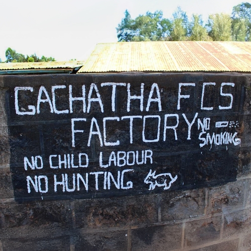 케냐 가차타 PB TOP