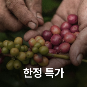 [기간 한정 특가]브라질 산타루시아 펄프드 내추럴