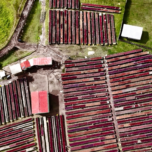 에티오피아 시다모 G1 뎀비 #1 내추럴