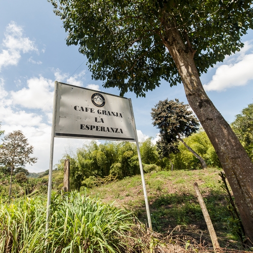 콜롬비아 라 에스페란자 만델라 내추럴