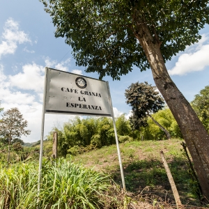 [재입고]콜롬비아 라 에스페란자 만델라 내추럴