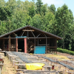 케냐 은구루에리 AA TOP