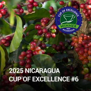 [2025 Nicaragua COE Natural & Honey #6]니카라과 라스 네블리나스 파라이네마 내추럴
