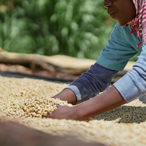 케냐 기티투 PB TOP