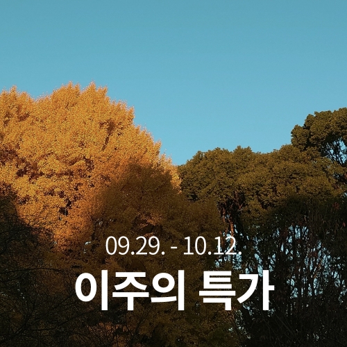 [이주의 특가]코스타리카 쿠페아그리 돈 클라우디오 카투라 카투아이 내추럴