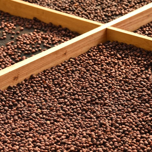 온두라스 라 크루즈 카투아이 내추럴 #1