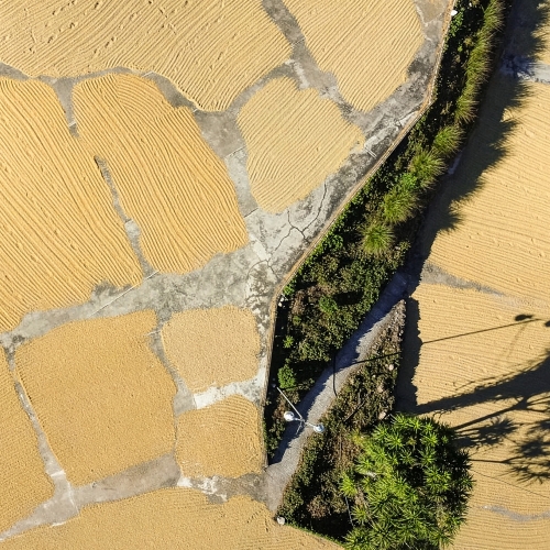 과테말라 엘 소코로 라우리나 워시드