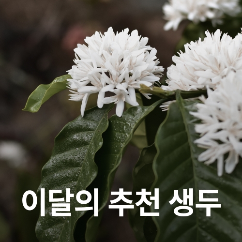 [품절]엘살바도르 산타 마리아 레드 버번 워시드