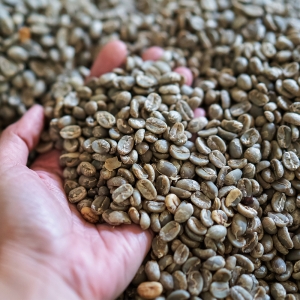 [100g 한정판매]파나마 아부 게이샤 GW-3165 워시드