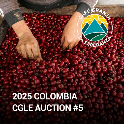 [2025 CGLE Auction #5 ]콜롬비아 스노위 피크 오브 산타 이사벨 세로 아줄 게이샤 내추럴