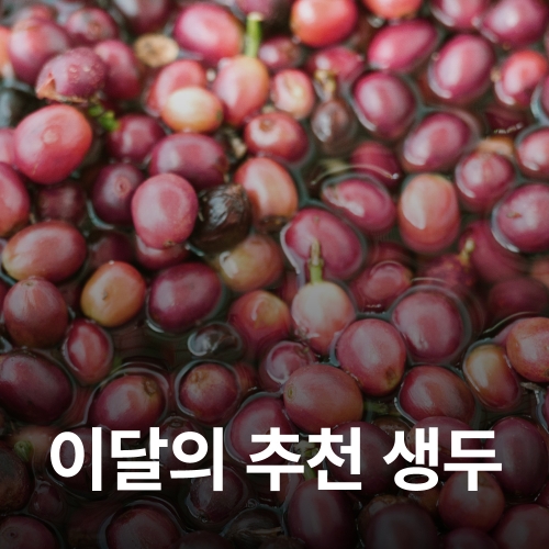 [1월  추천생두]엘살바도르 플란 델 호요 아나카페 14 워시드