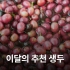 [1월  추천생두]엘살바도르 플란 델 호요 아나카페 14 워시드