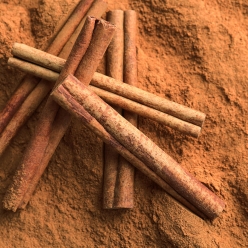 [신규입고]콜롬비아 캄포 에르모소 카투라 허니 시나몬 모스토 CO 퍼먼티드