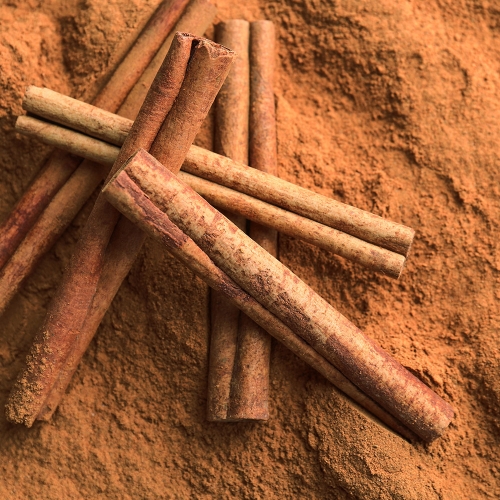 콜롬비아 캄포 에르모소 카투라 허니 시나몬 모스토 CO 퍼먼티드