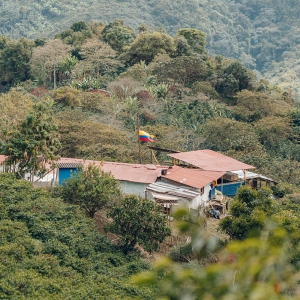 [입고예정]콜롬비아 세로 아줄 게이샤 내추럴