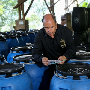 [입고예정]콜롬비아 라스 마가리타스 CGLE-17 내추럴