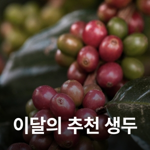 [품절]코스타리카 파비오스 커피 산 이시드로 H-1 센트로아메리카노 허니