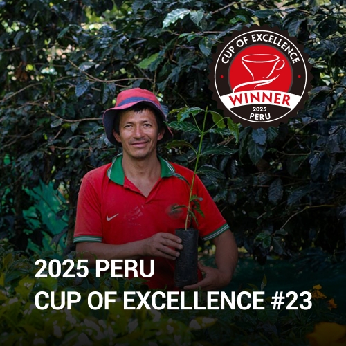 [신규라인업][2025 Peru COE #23]페루 엘 로메리요 게이샤 버번 워시드