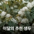 [3월 추천생두]코스타리카 따라주 로스 두퀘스 SHB EP
