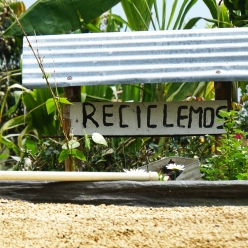 [입고예정]콜롬비아 엘 노갈 카투라 워시드