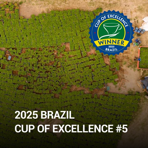 [2025 Brazil COE Washed & Honey #5] 브라질 카나스트라 아라라 허니