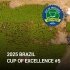 [2025 Brazil COE Washed & Honey #5] 브라질 카나스트라 아라라 허니