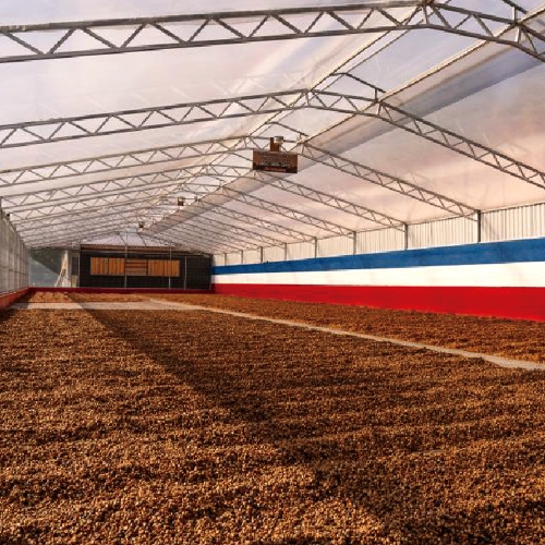 [500g 행사]코스타리카 라스 라하스 사바나 레돈다 비야사치 옐로우 다이아몬드