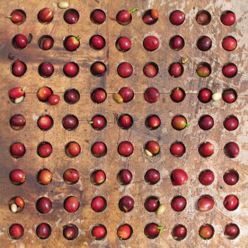 [신규 라인업]콜롬비아 아구아 린다 치로소 내추럴