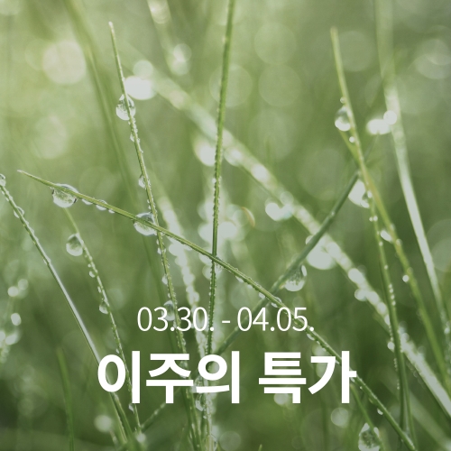 [이주의 특가]과테말라 엘 소코로 산 로렌조