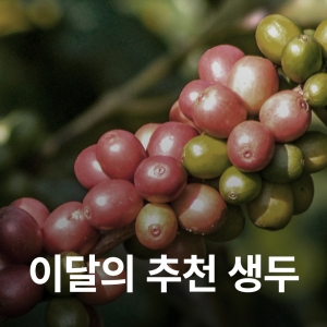 [4월 추천생두]콜롬비아 캄포 에르모소 카투라 허니 패션 후르츠 모스토 CO 퍼먼티드