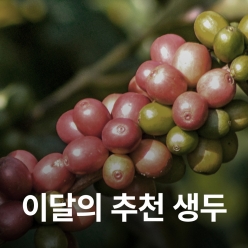 [4월 추천생두]브라질 세하도 14/16 NY2 FC