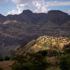 [500g 한정 판매]예멘 퀴마 알 오파이리 XI 켄트 알케미
