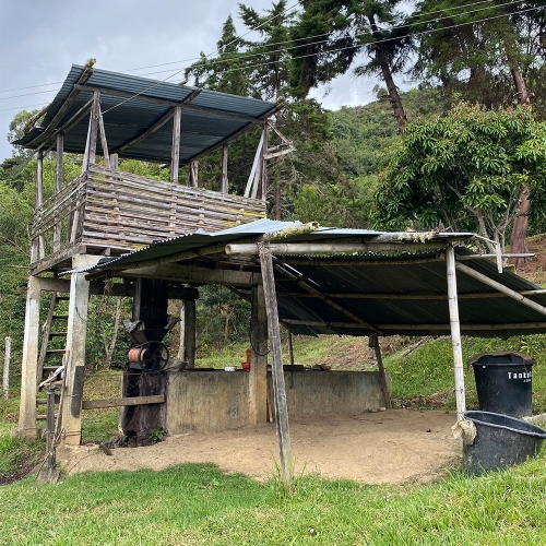 콜롬비아 페르가미노 카투라 워시드