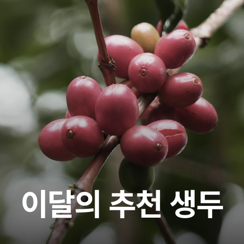 [5월 추천생두]콜롬비아 엘 하르딘 콜롬비아 워시드