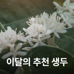 [6월 추천생두]콜롬비아 페르가미노 카투라 워시드