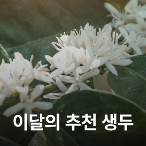 [6월 추천생두]콜롬비아 페르가미노 카투라 워시드