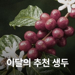 [7월 추천생두]콜롬비아 안티오키아 라 수이사