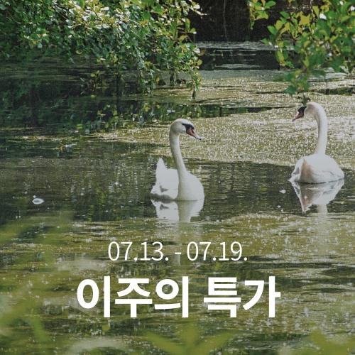 [이주의 특가]에티오피아 시다모 G1 봄베 와인 내추럴