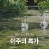 [이주의 특가]에티오피아 시다모 G1 봄베 와인 내추럴