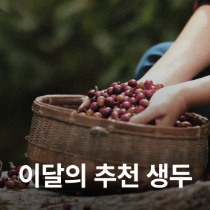 [8월 추천생두]과테말라 엘 소코로 레드 버번