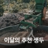 [2026 DCTC 공식 지원 생두 X 10월 추천생두]과테말라 엘 소코로 마르세예사 워시드
